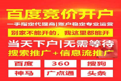 百度SEO推广公司案例：如何快速提升网站排名